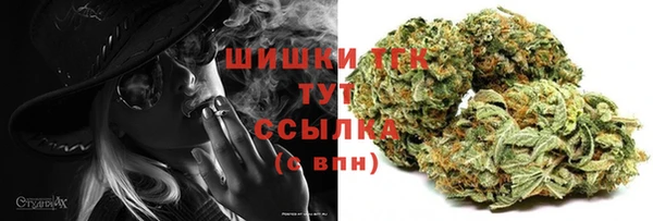 PSILOCYBIN Лагань