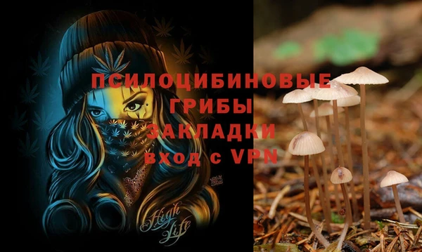 ECSTASY Абаза