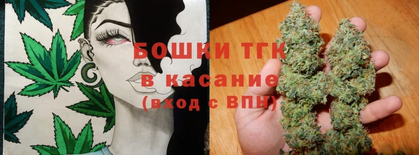 шишки Абинск