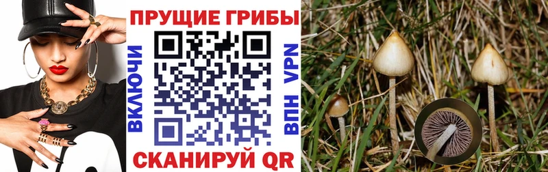 Галлюциногенные грибы Magic Shrooms  продажа наркотиков  Агрыз 